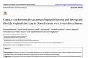 Comparison Between Percutaneous Nephrolithotomy and Retrograde Flexible Nephrolithotripsy in Obese Patients with 2 - 4 cm Renal Stones